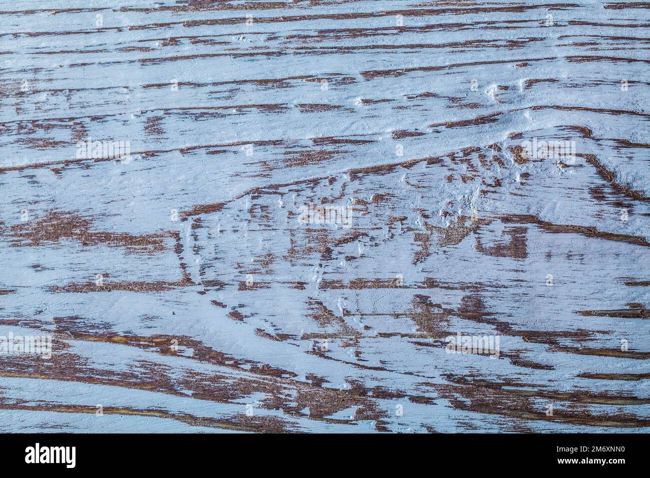 Langjährige horizontale Sicht auf natürlichen Holzhintergrund. Stockfoto