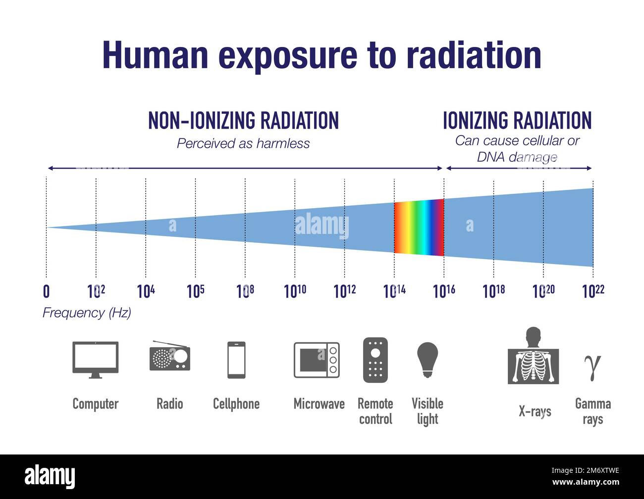 Die Strahlenexposition des Menschen im elektromagnetischen Spektrum Stockfoto