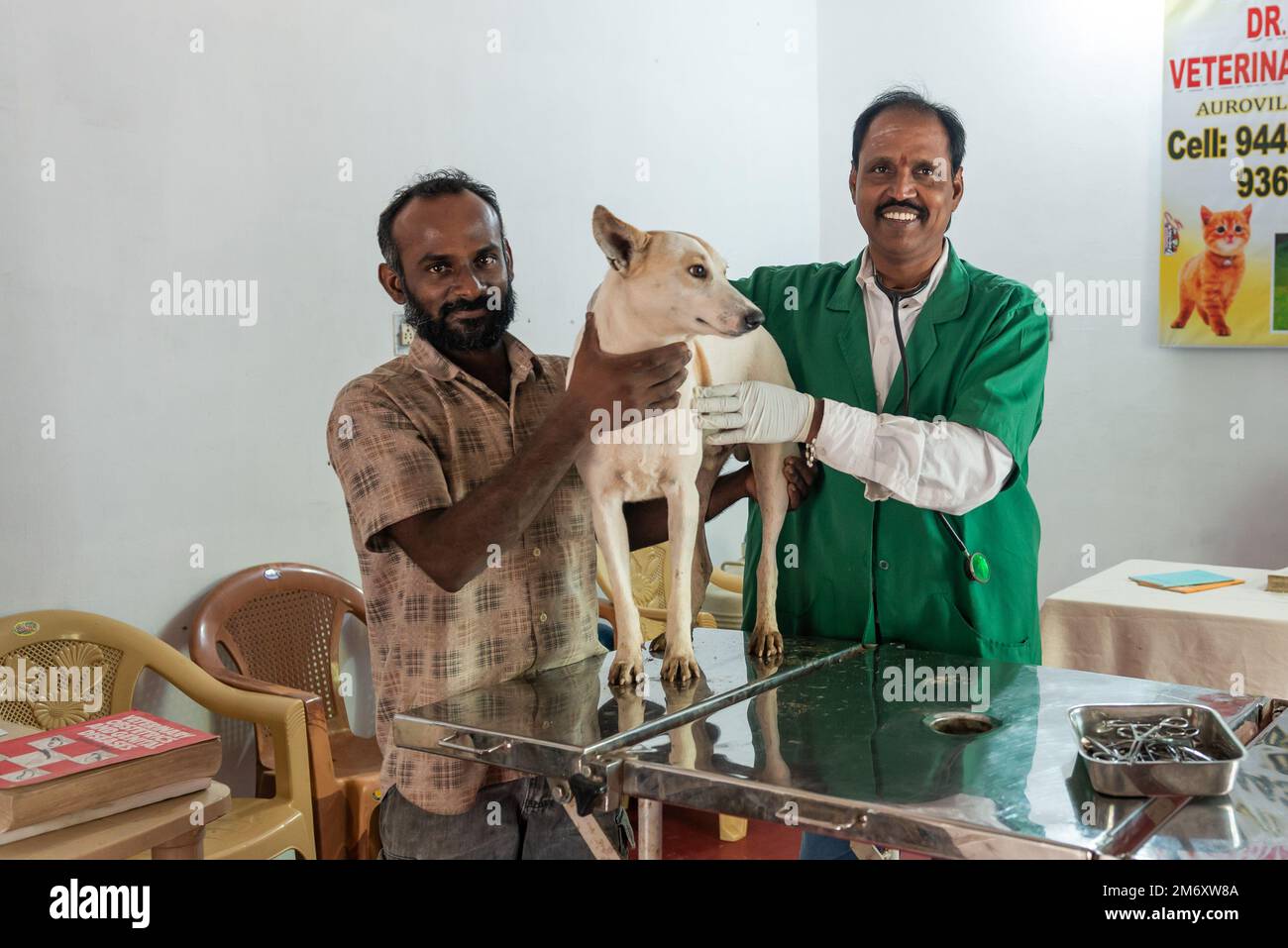Edayanchavadi, Indien - 10. dezember 2022: Indischer Tierarzt kümmert sich um einen Hund Stockfoto