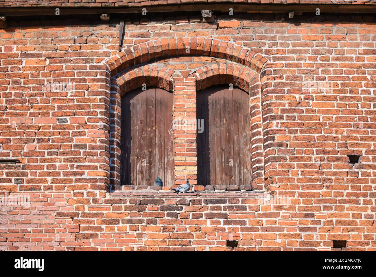 Doppelfenster mit Bögen (und zwei Tauben) in der roten Backsteinmauer der historischen Rehna-Kirche, gotische Backsteinarchitektur war allgemein üblich Stockfoto