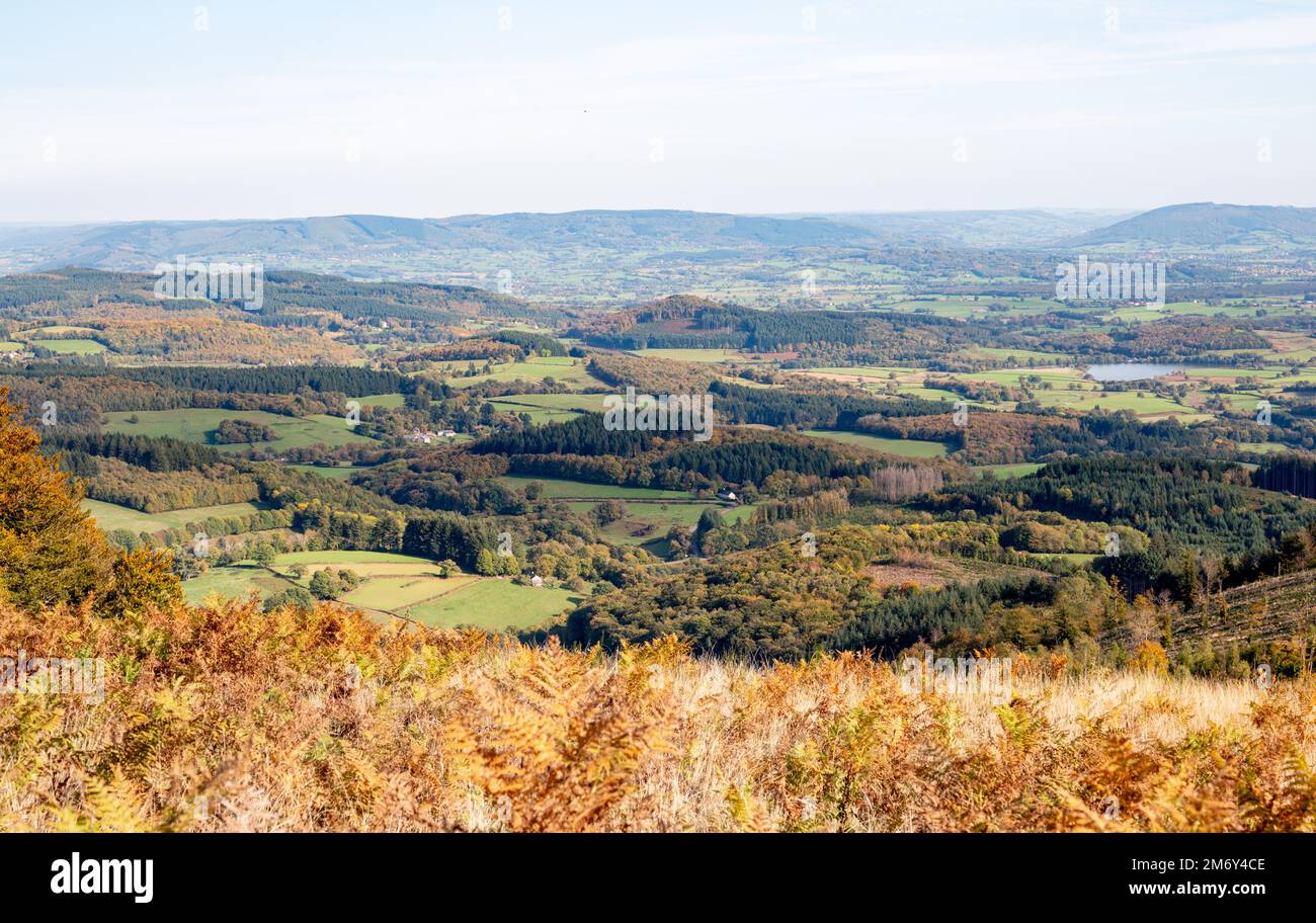 Panoramablick auf Mont Beuvray im Morvan. Saint-Leger-sous-Beuvray, Frankreich. Herrliche Aussicht. Bibracte in Morvan. Landschaft mit Baum. Panorama. Stockfoto