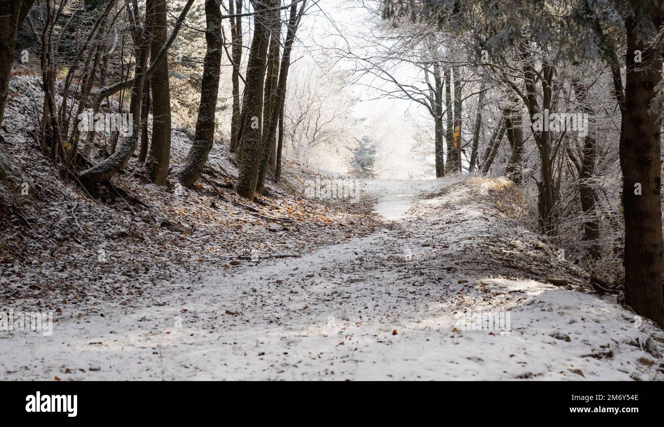 Schnee, der in der Sonne schmilzt. Schnee, der in der Hitze schmilzt. Hintergrund für die Weihnachtsfeier. Hintergrund von Schnee in der Sonne. Berglandschaft mit Schnee Stockfoto