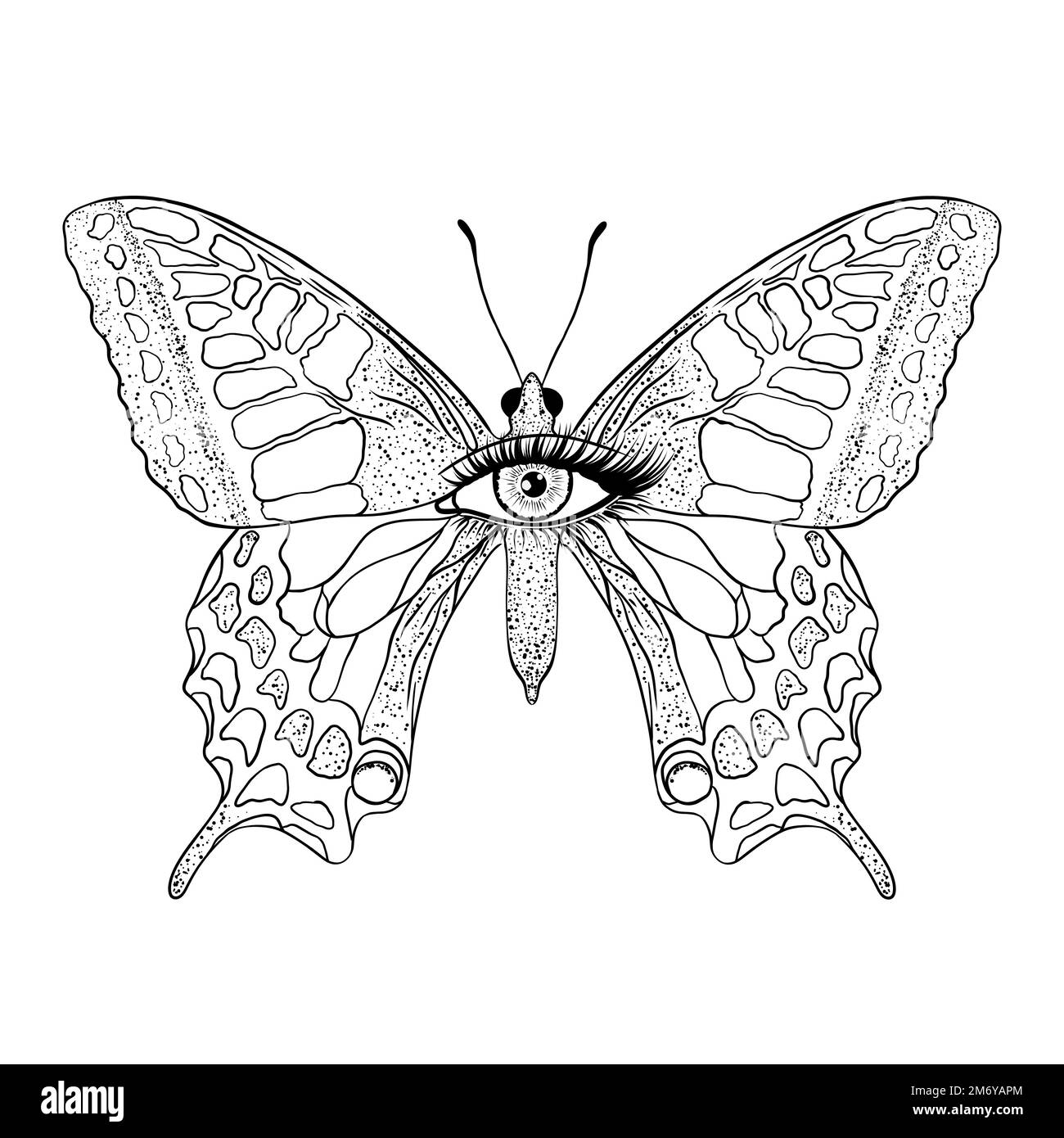 Schmetterling mit weiblichem Auge. Stock Vektor