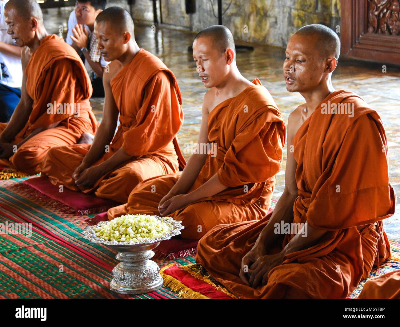 Gesichter der Welt: Junge Mönche in Kambodscha Stockfoto
