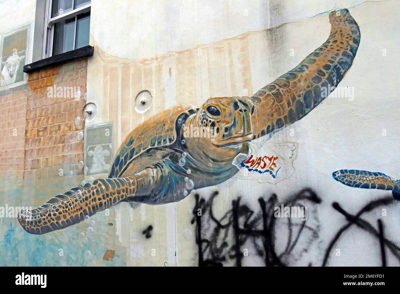 Swimming Turtle and Word Waste, Art in High St Cheltenham, vom Paint Festival, Gloucestershire, England, GL50 3JF Stockfoto