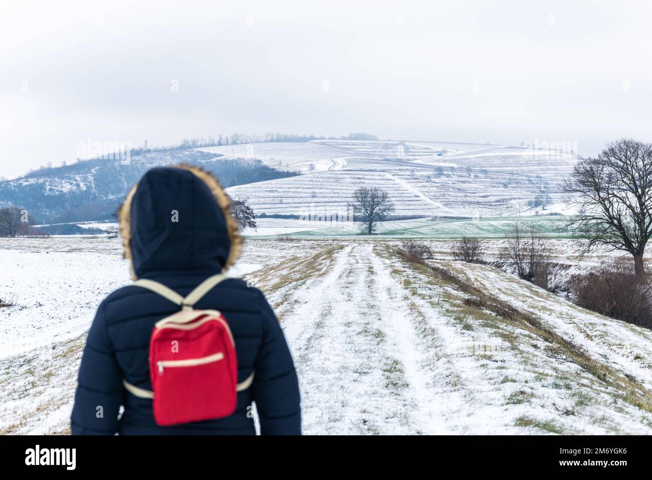 Eine Frau in Winterkleidung schaut auf einen schneebedeckten Hügel, Balassagyarmat, Ungarn Stockfoto
