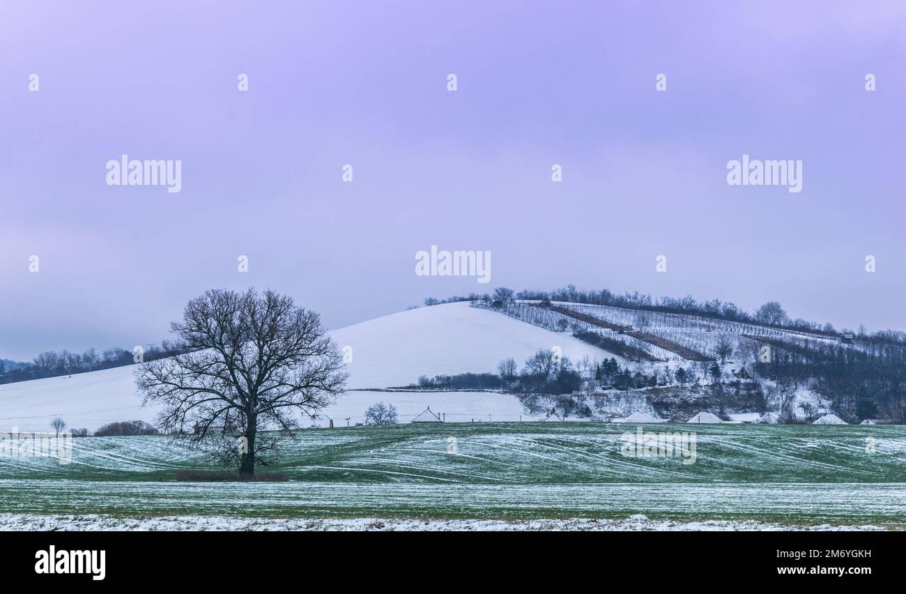 Verschneite Winterlandschaft mit einem Hügel im Hintergrund, Balassagyarmat, Ungarn Stockfoto