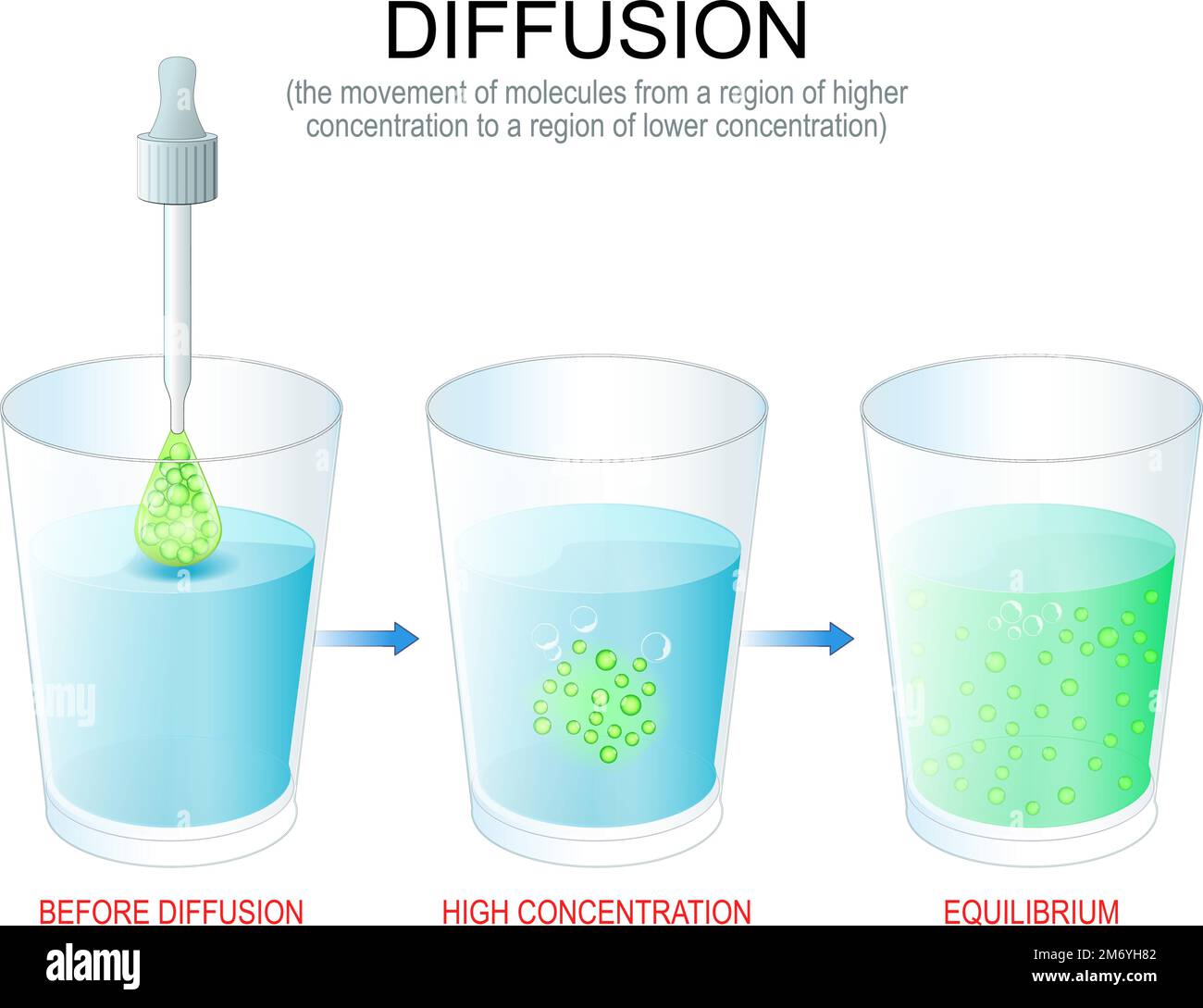 Diffusion. Experimentieren Sie mit Wasser in Gläsern, Pipette mit Farbstoff und Lösung. Die Bewegung von Molekülen aus einem Bereich mit höherer Konzentration Stock Vektor