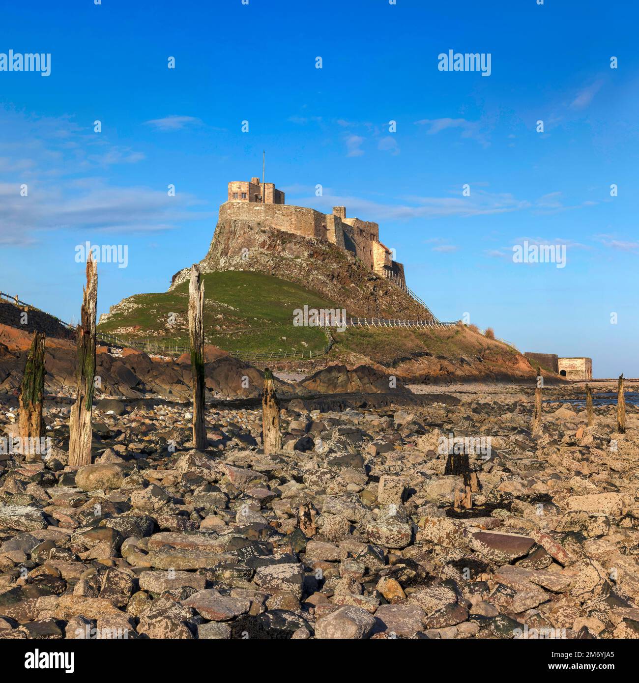 Sommeransicht Lindisfarne Castle, Holy Island, Northumberland, England, Großbritannien Stockfoto