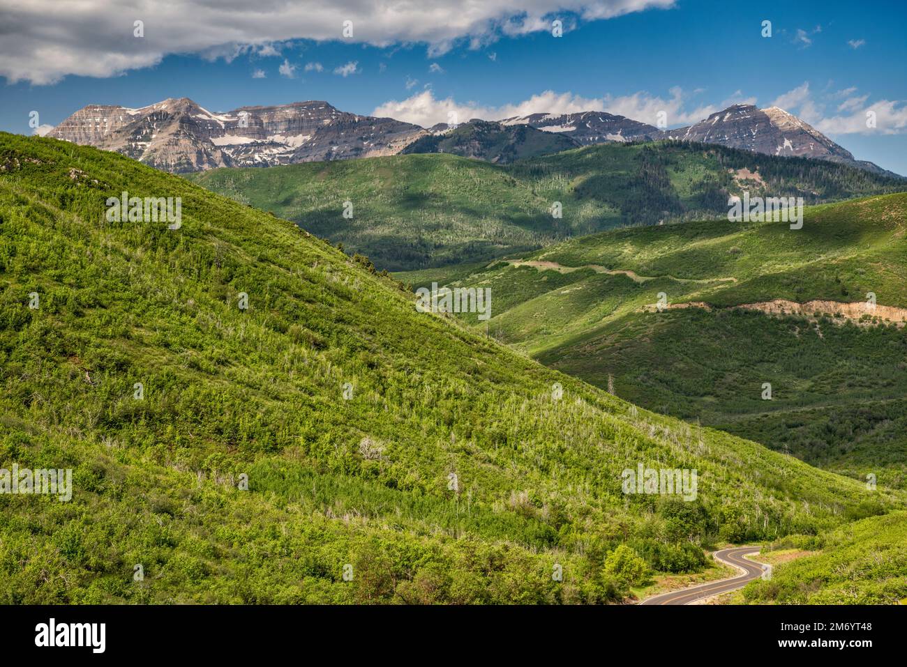 Mount Timpanogos Massiv, Blick vom Decker Pass, Cascade Springs Drive, Wasatch Mountain State Park, Wasatch Range, Utah, USA Stockfoto