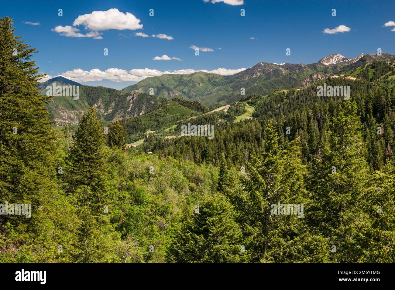 North Fork Ridge, Wasatch Range, Blick vom Alpine Scenic Highway (Utah 92), Uinta Wasatch Cache National Forest, Utah, USA Stockfoto