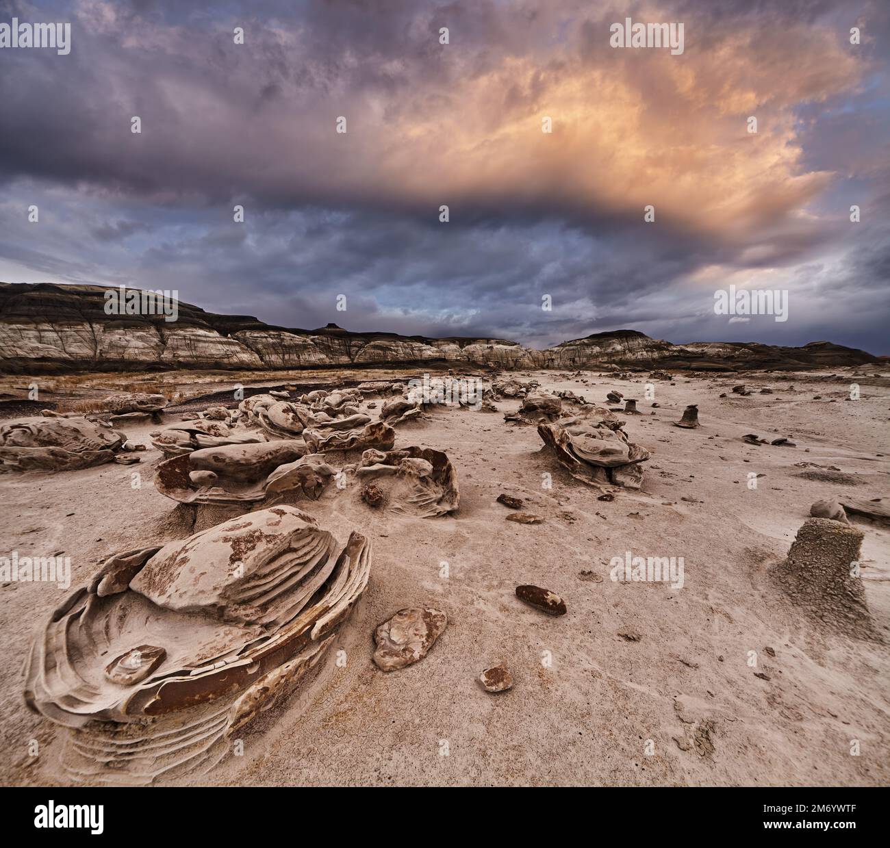 Die Wüstengegend der Bisti Badlands in New Mexico, USA, ist wie zerbrochene außerirdische Eier Stockfoto