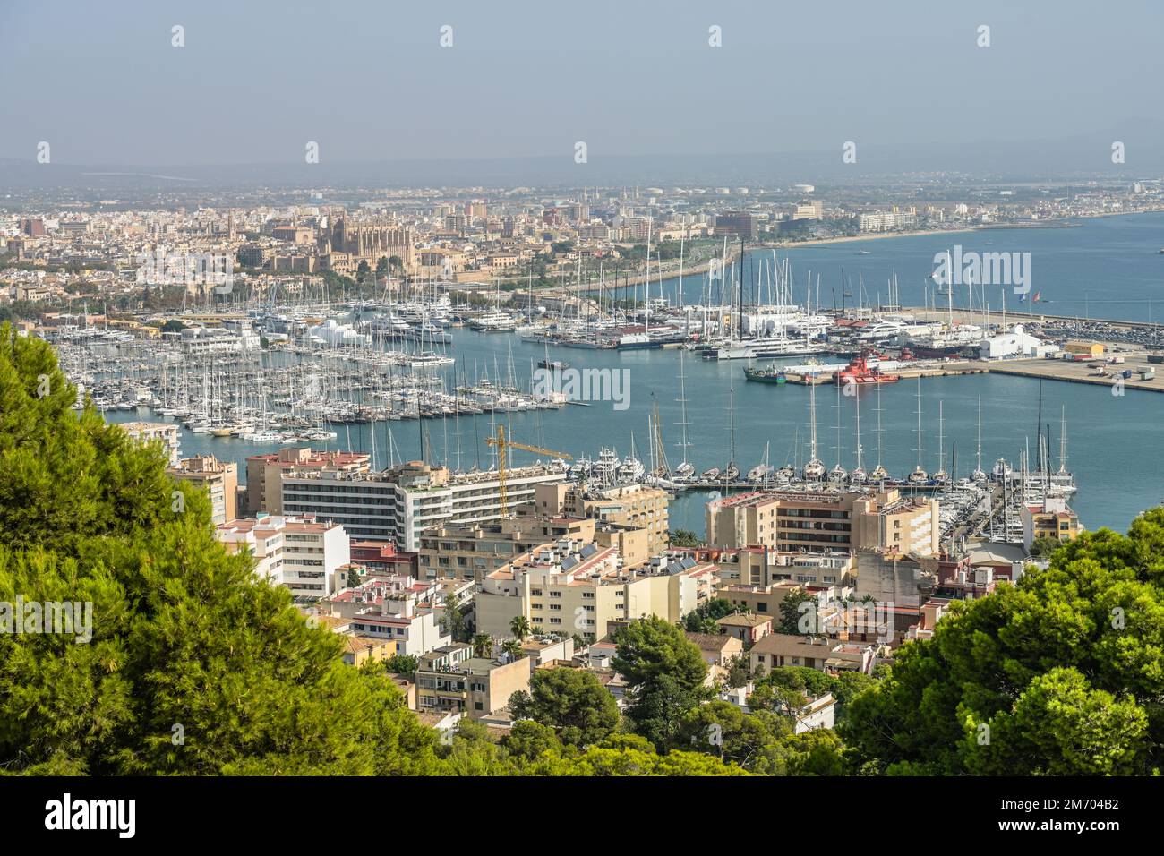 Stadtpanorama, Puerto de Palma, Palma, Mallorca, Spanien Stockfoto