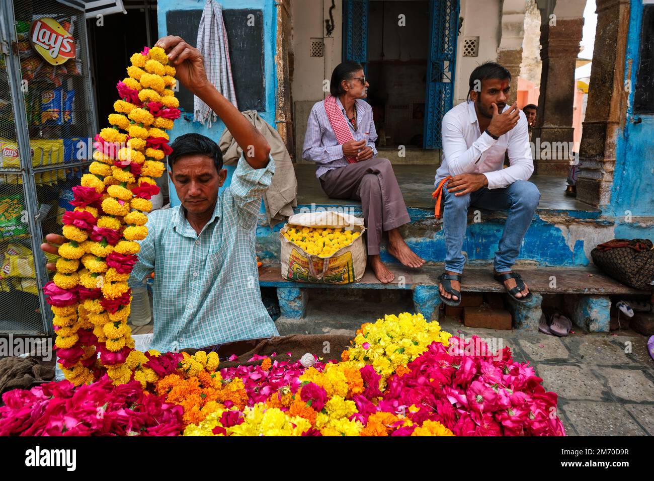 Pushkar, Indien - 7. November 2019 - indischer Blumenverkäufer, der Blumen für religiöse Zwecke auf den Straßen von Pushkar auf dem Blumenmarkt verkauft. Pushka Stockfoto