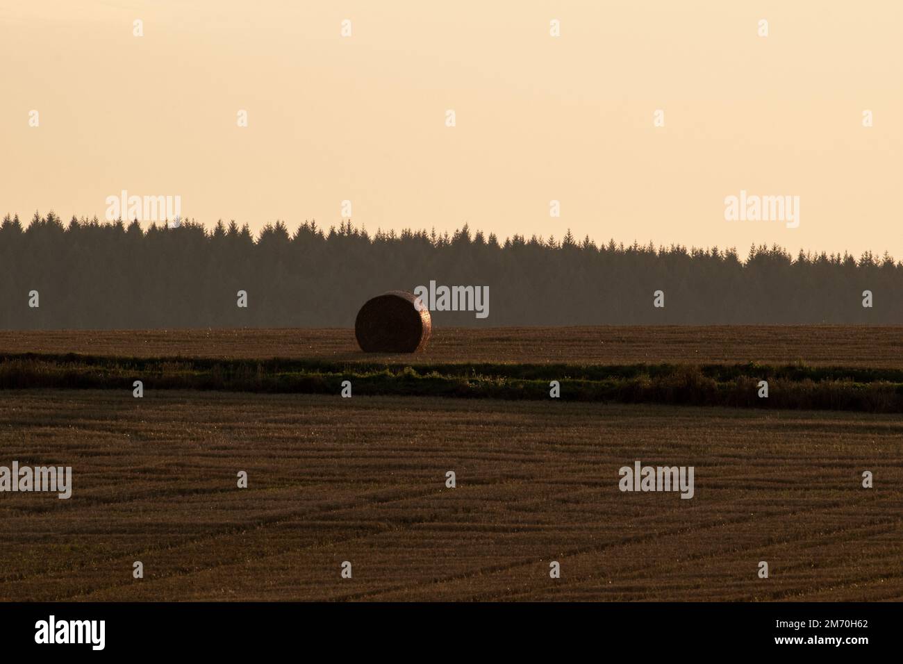 Heuhaufen auf der Wiese. Runde Strohballen auf einem Feld nach der Getreideernte. Wunderschönes Heufeld mit runden Stapeln vor dem sonnigen Himmel. Hay Yellow Golden. Stockfoto