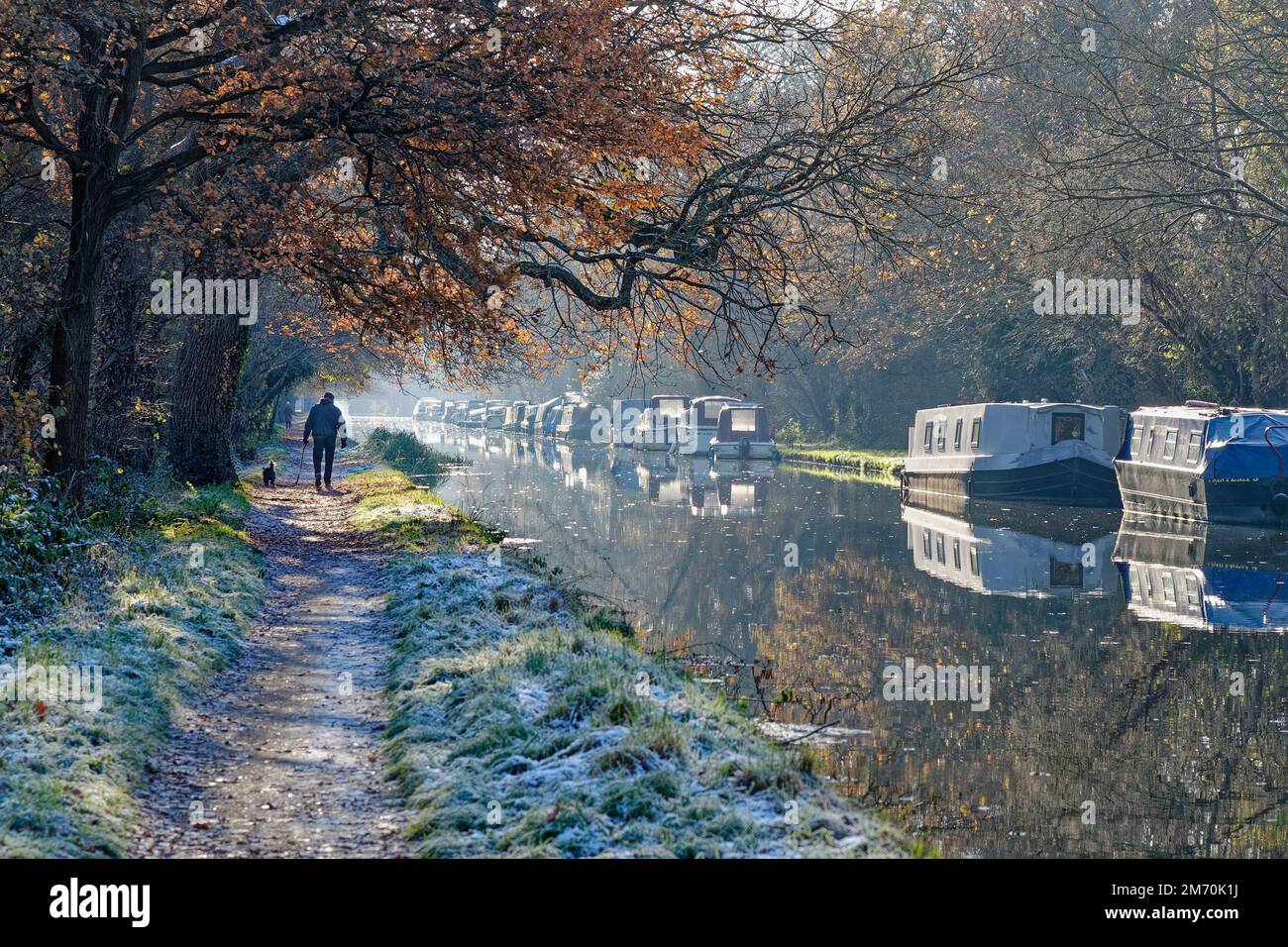 Der River Wey Navigationskanal in New Haw an einem kalten und frostigen Wintertag in Surrey England Stockfoto