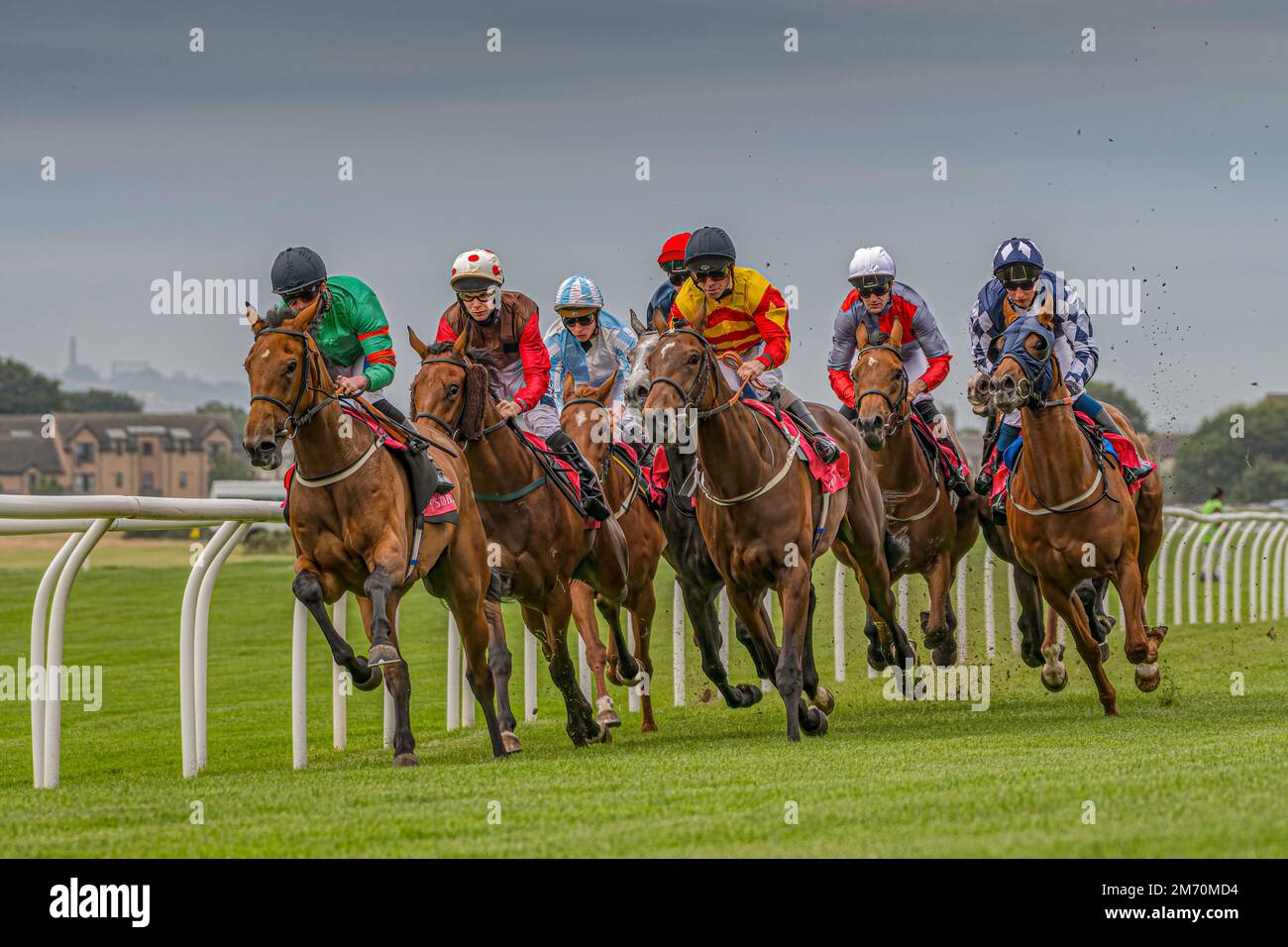 Das Rennen läuft. Musselburgh, Pferderennen, Schottland Stockfoto