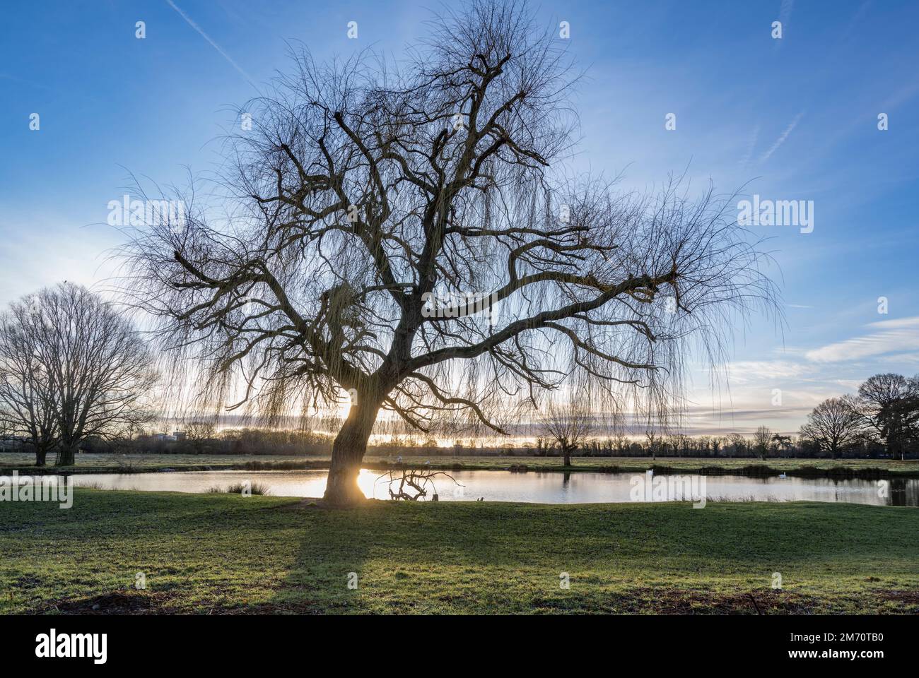 Spektakulärer Sonnenaufgang im Januar im Bushy Park in der Nähe von London Stockfoto