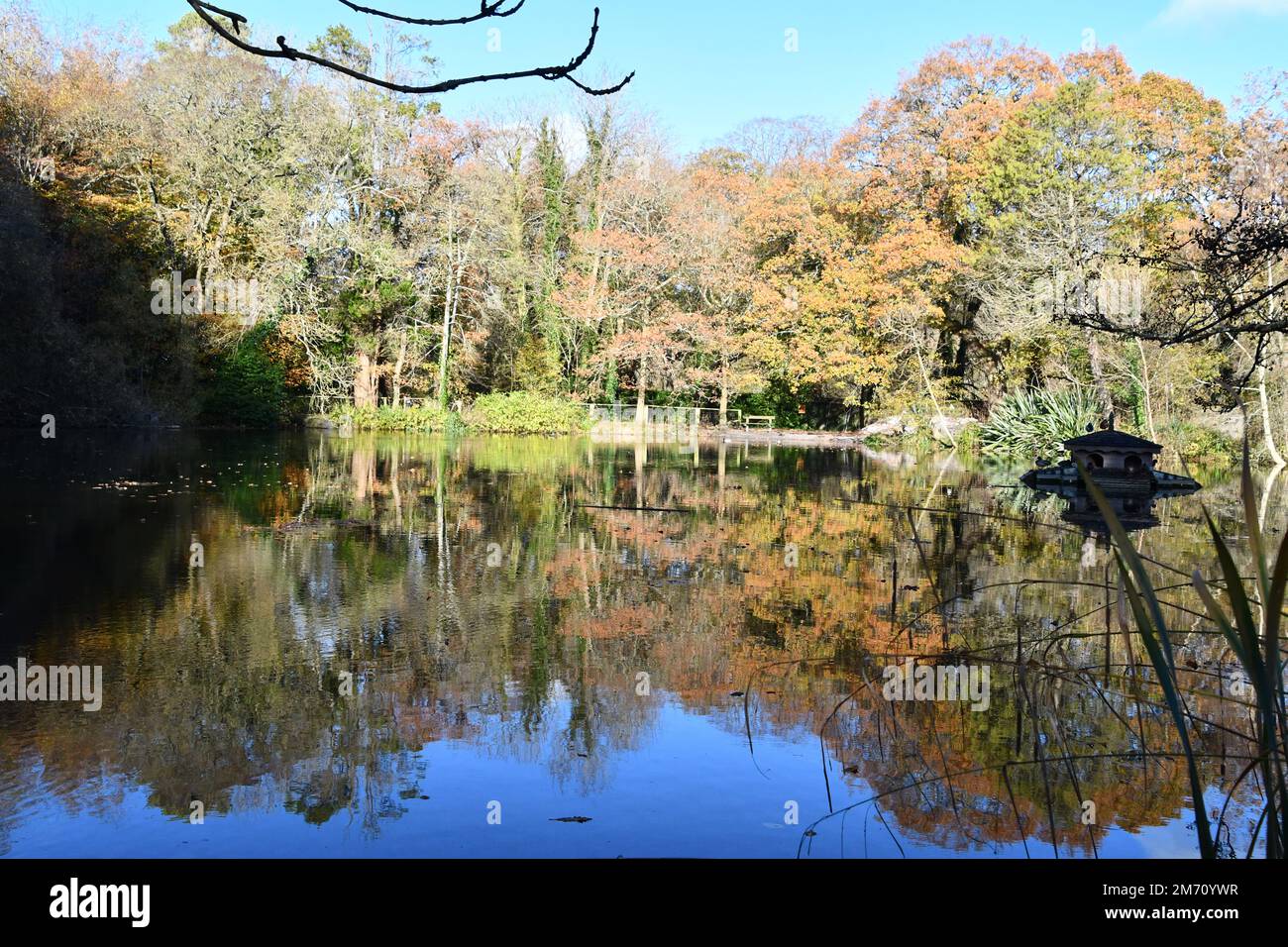 Herbstfarben spiegeln sich im Wasser wider Stockfoto