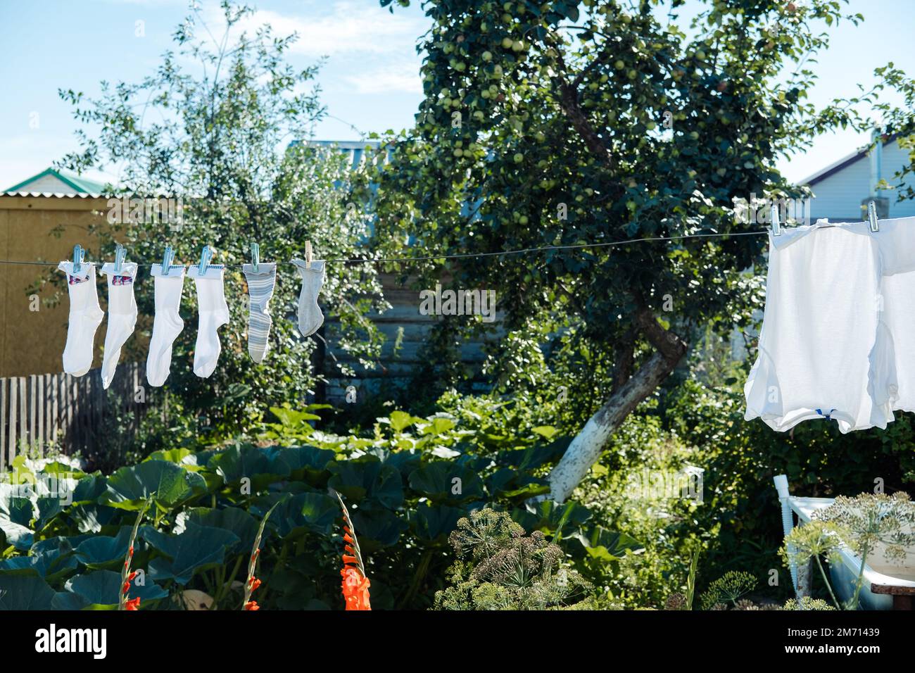 Gewaschene Kleidung an Wäscheleinen wird im Dorf an einem sonnigen Tag im Sommer getrocknet Stockfoto