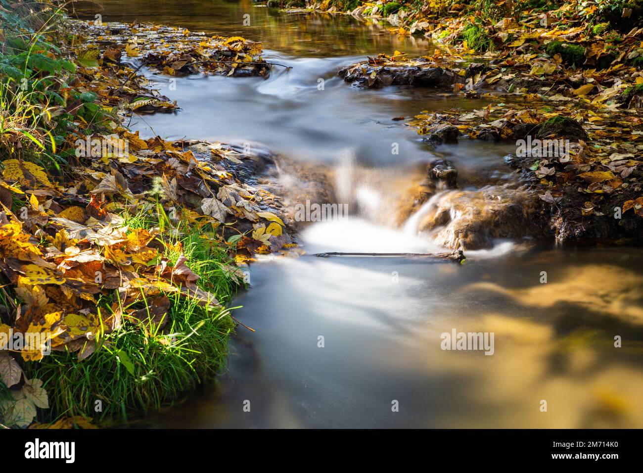 Kleiner Bach im Herbst mit goldenen Blättern am Flussufer lange Sonneneinstrahlung Stockfoto