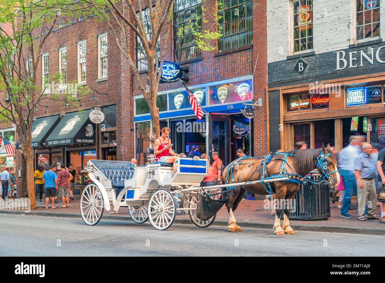 Fahrer mit Pferdekutsche wartet auf Kunden im Zentrum von Nashville, Tennessee, USA. Stockfoto