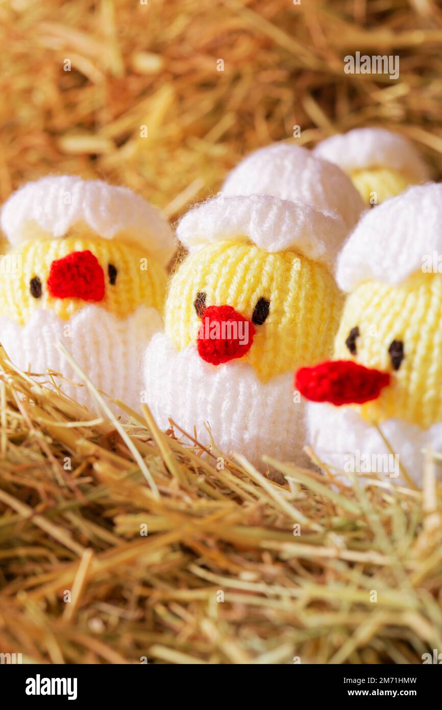 Gestrickte Spielzeugküken, die aus einem Ei schlüpfen, auf einem Heustroh-Hintergrund. Osterkonzept Stockfoto