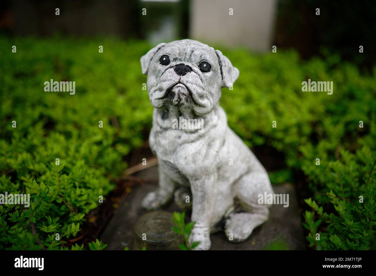 Eine Hundefigur, die tapfer ein Grab auf einem Friedhof bewacht Stockfoto