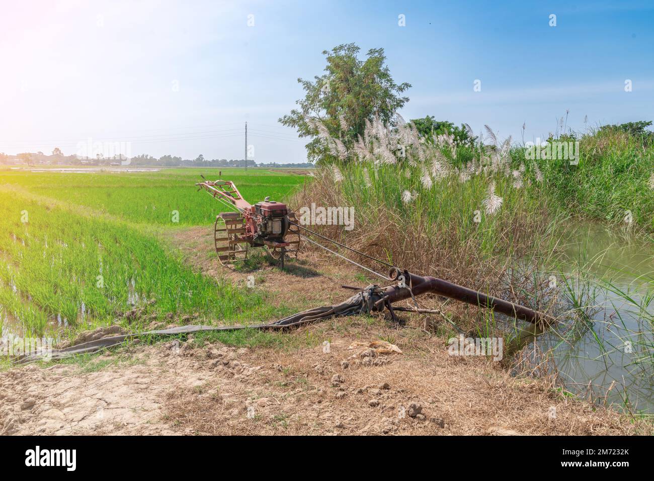 Bewässerung von Reisfeldern durch Pumpbrunnen mit Stockfoto 2186157109