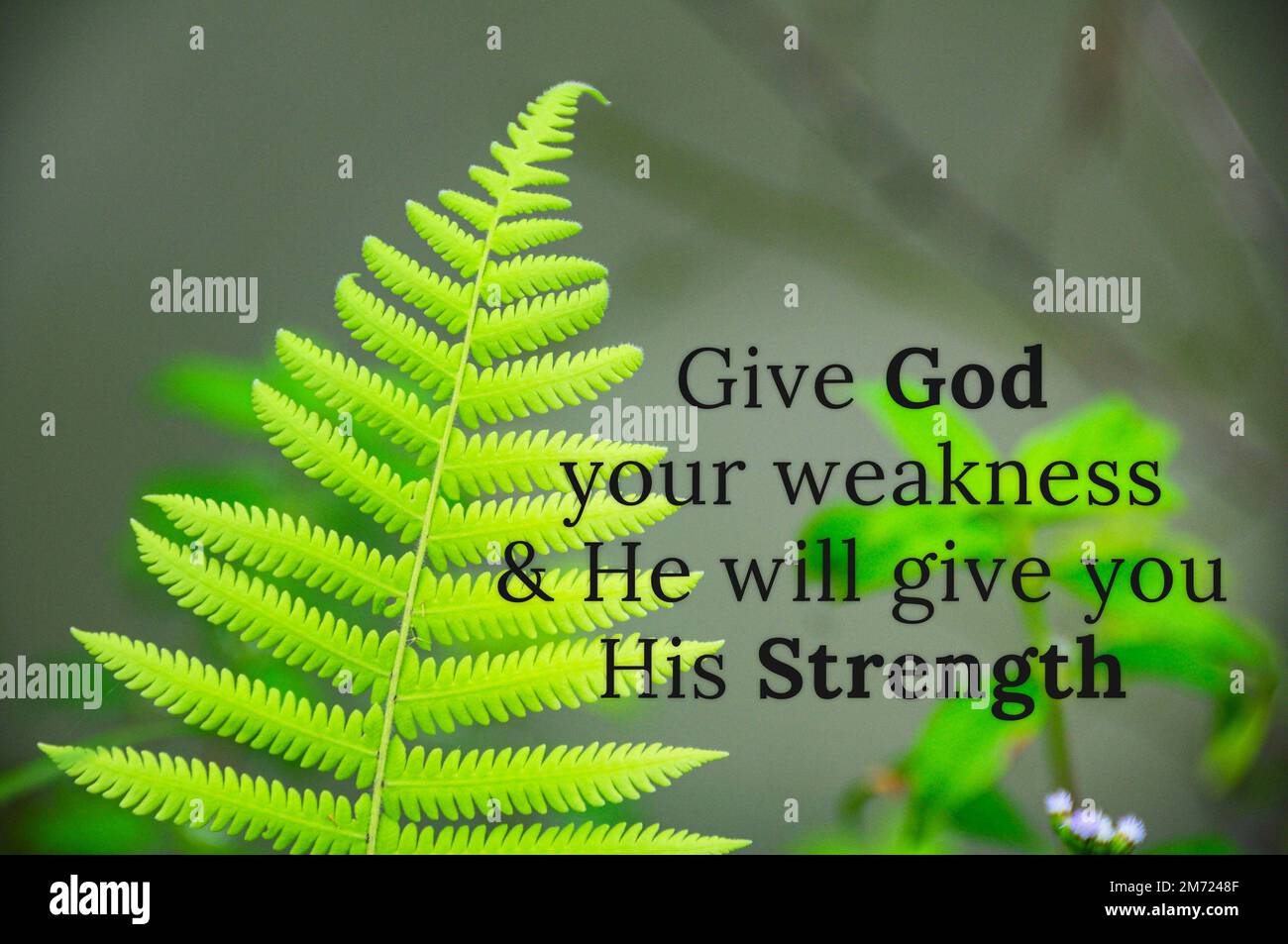 Gib Gott deine Schwächen und er wird dir sein Zitat mit Palmenblatthintergrund geben. Stockfoto