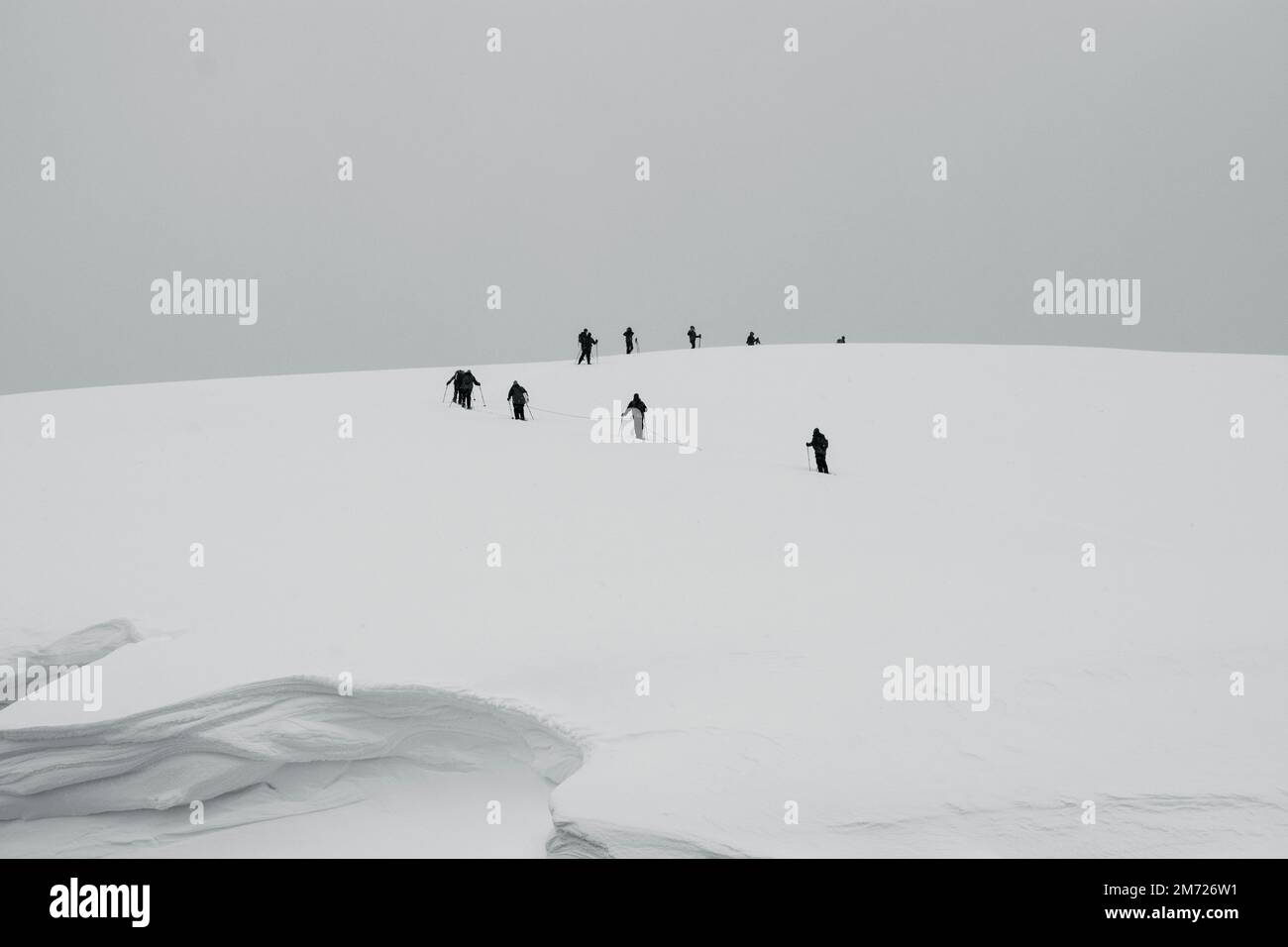 Silhouette von vier Personen, die einen kleinen schneebedeckten Pfad in der Antarktis entlanggehen. Stockfoto