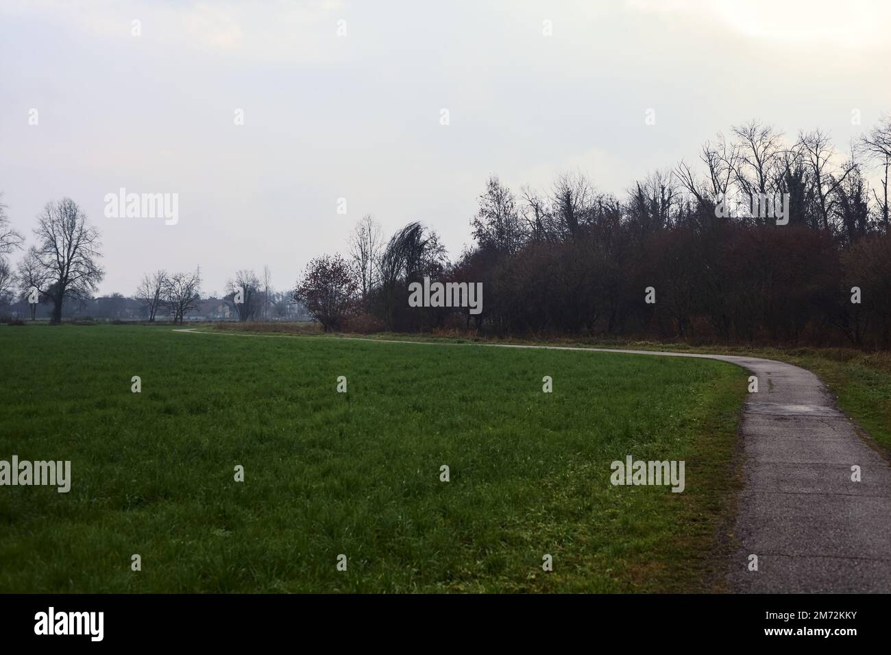 Asphaltierter Pfad mit einem Wald und einem Wasserstrahl am Rande inmitten von bebauten Feldern an einem bewölkten Tag in der italienischen Landschaft Stockfoto