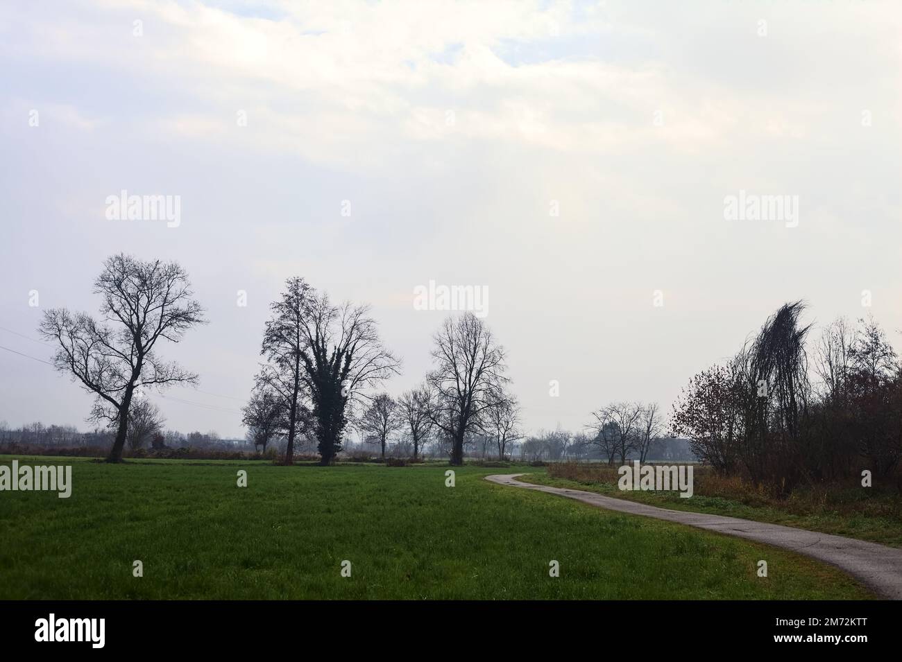 Asphaltierter Pfad mit einem Wald und einem Wasserstrahl am Rande inmitten von bebauten Feldern an einem bewölkten Tag in der italienischen Landschaft Stockfoto