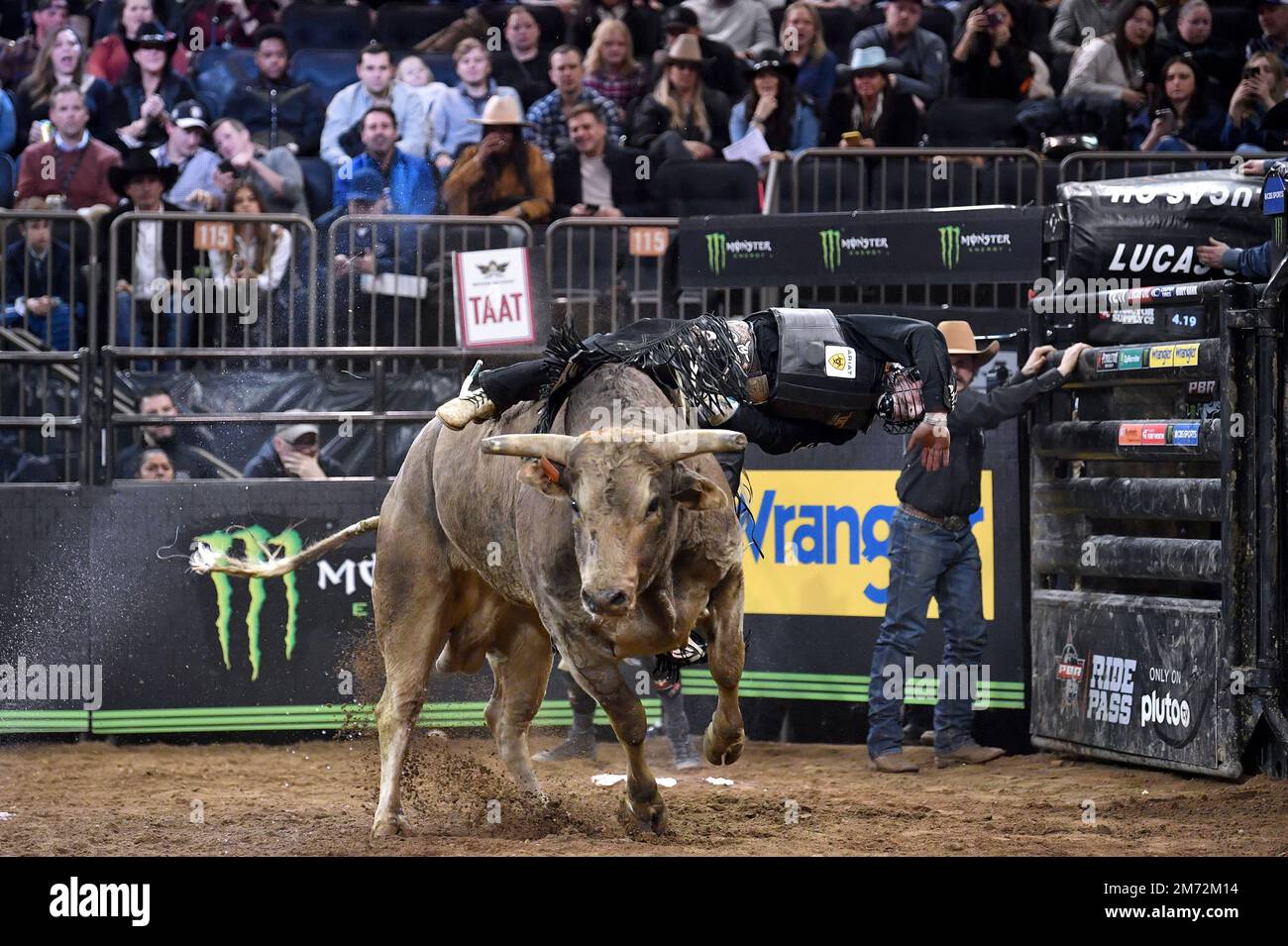 New York, USA. 06. Januar 2023. Professional Bull Rider Daniel Keeping (USA) reitet während des „Buck Off“-Wettbewerbs von PBR Monster Energy im Madison Square Garden, New York, NY, am 6. Januar 2023 auf einem Bullen namens Razzzamatazz. PBR feiert sein 30.-jähriges Jubiläum im Madison Square Garden mit dem Wettbewerb vom 6. Bis 8. Januar. (Foto: Anthony Behar/Sipa USA) Guthaben: SIPA USA/Alamy Live News Stockfoto