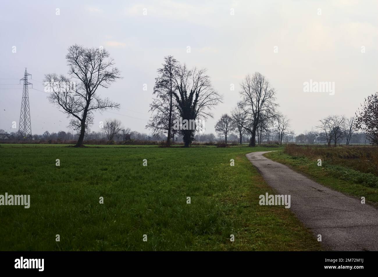 Asphaltierter Pfad mit einem Wald und einem Wasserstrahl am Rande inmitten von bebauten Feldern an einem bewölkten Tag in der italienischen Landschaft Stockfoto