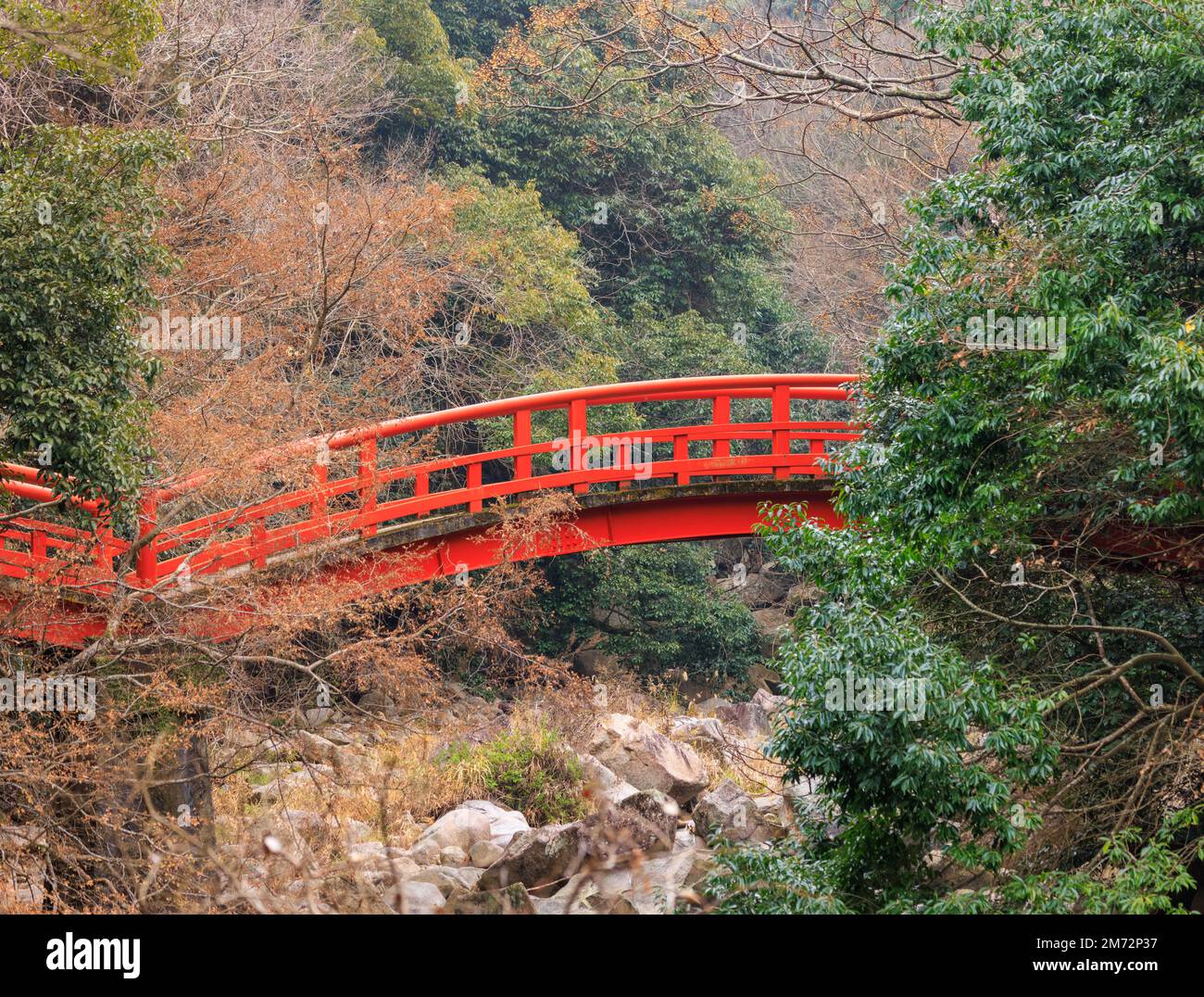 Rote Bogenbrücke im ruhigen japanischen Wald Stockfoto