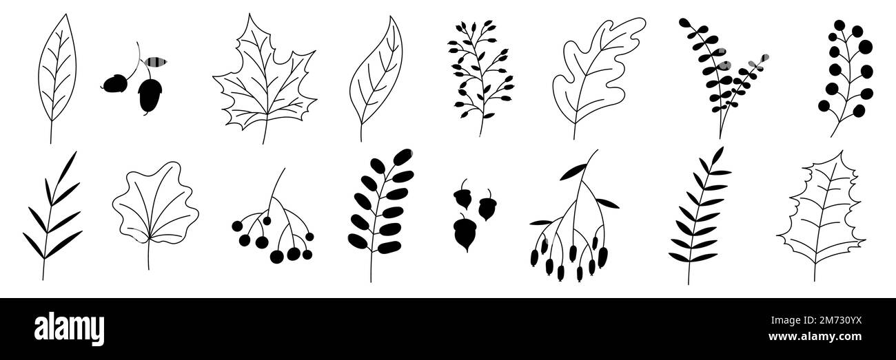 Handgezeichnete Herbstkollektion mit saisonalen Pflanzen und Blättern. Handgezeichnete Pflanzen, Blätter, Blumen. Silhouetten mit natürlichen Elementen für die Saison Stock Vektor