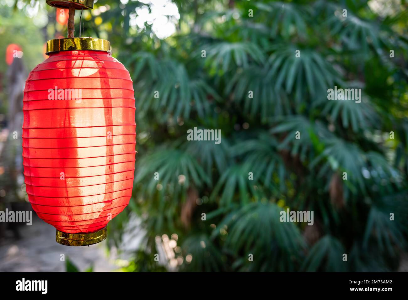 Chinesischer laternenbaum Fotos und Bildmaterial in hoher Auflösung