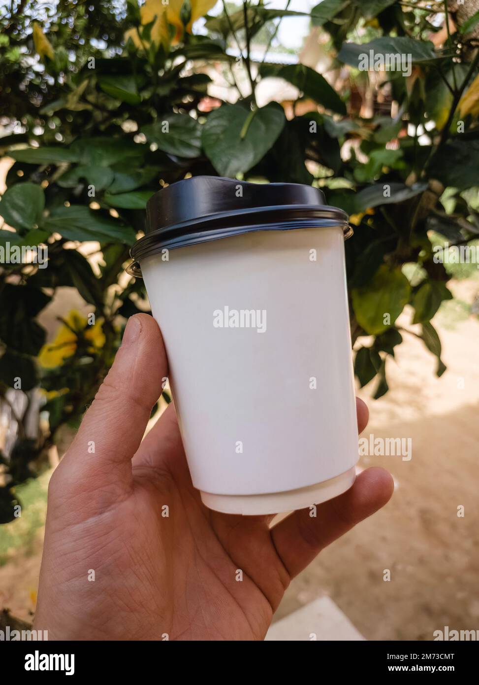 Halten Sie eine weiße Tasse Kaffee zum Mitnehmen mit grünen tropischen Blättern im Hintergrund in der Hand Stockfoto
