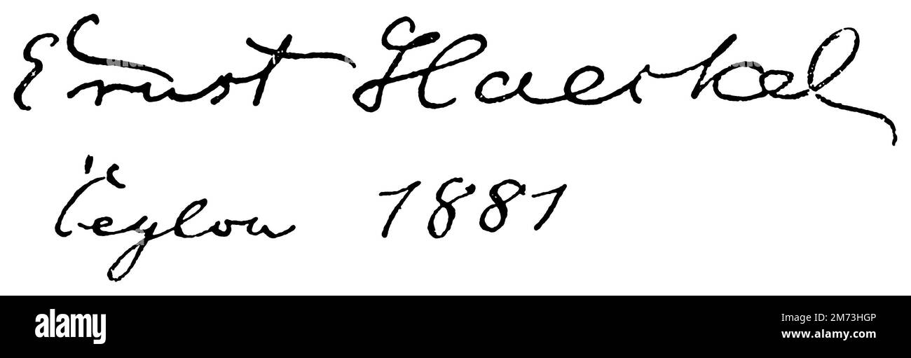Ernst Haeckel (1834-1919), deutscher Arzt, Zoologe und Naturphilosoph, Haack, Friedrich (Fotograf) (Evolution History Book, 1894), Ernst Haeckel (1834-1919), deutscher Mediziner, Zoologe und Naturphilosoph, Ernst Haeckel (1834-1919), médecin, Zoologe und Philosophe de la Nature Allemand Stockfoto