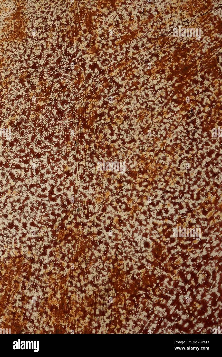 Gefleckter Hintergrund aus rostigem Metall mit braunem Rost und alten weißen Farbflecken Stockfoto