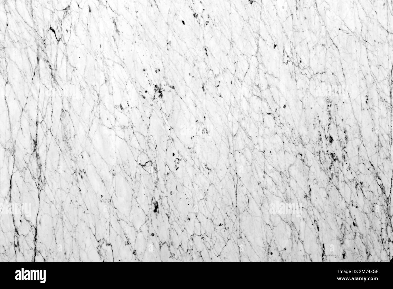Bianco gioia, natürlicher Marmorstein, Foto einer Platte. Textur in heller weißer klassischer Farbe. Mattes Grunge-Muster für stilvolles Büro, Boden, 3D-Keramik Stockfoto