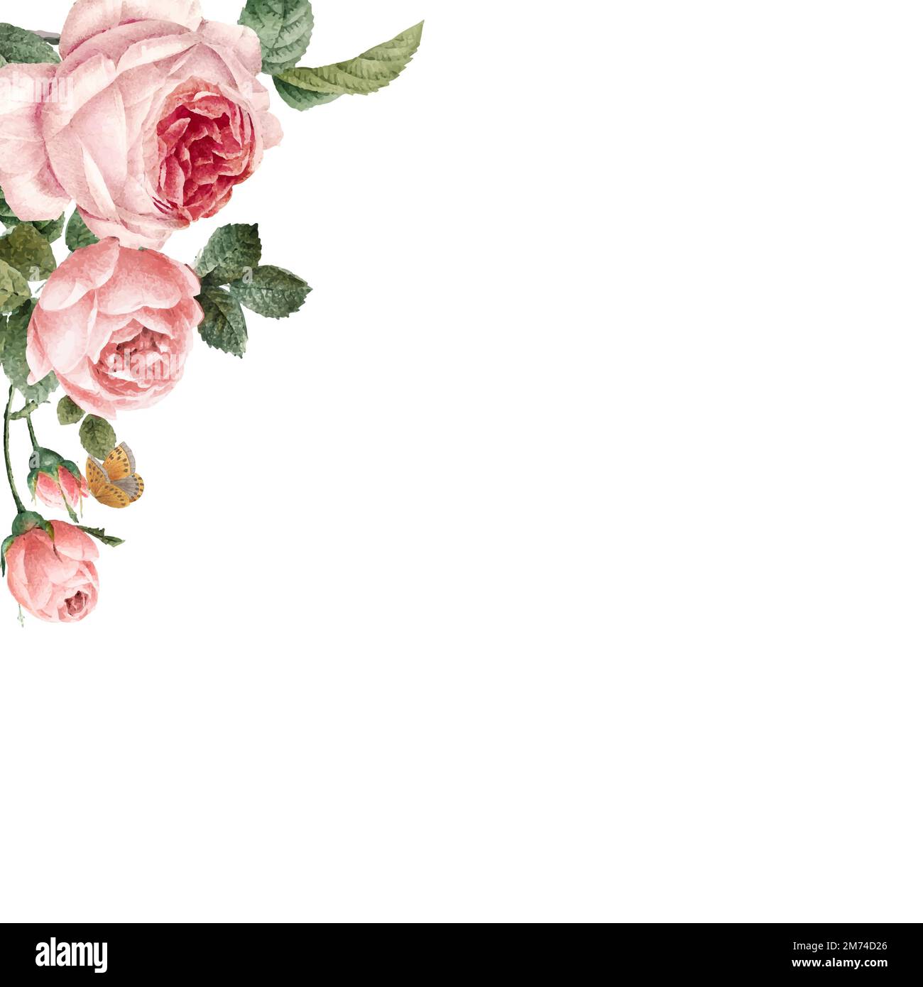 Handgezeichnete rosa Rosen Rahmen auf weißem Hintergrund Vektor Stock Vektor