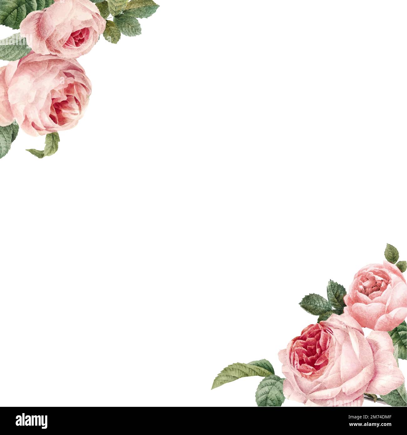 Handgezeichnete rosa Rosen Rahmen auf weißem Hintergrund Vektor Stock Vektor