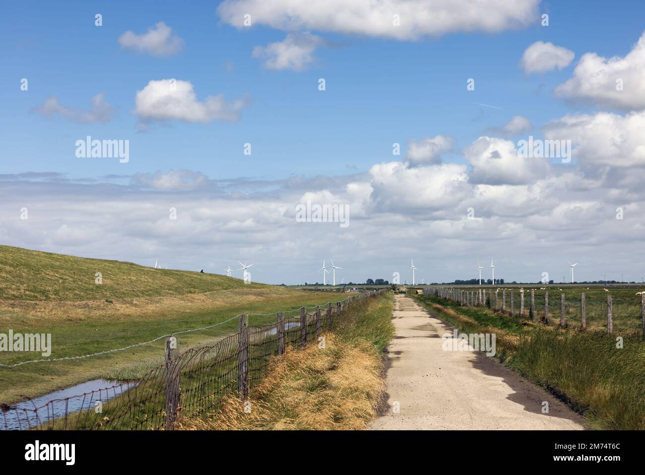 Landstraße vor dem Deich in der niederländischen Provinz Groningen bei Punt van Reide Stockfoto