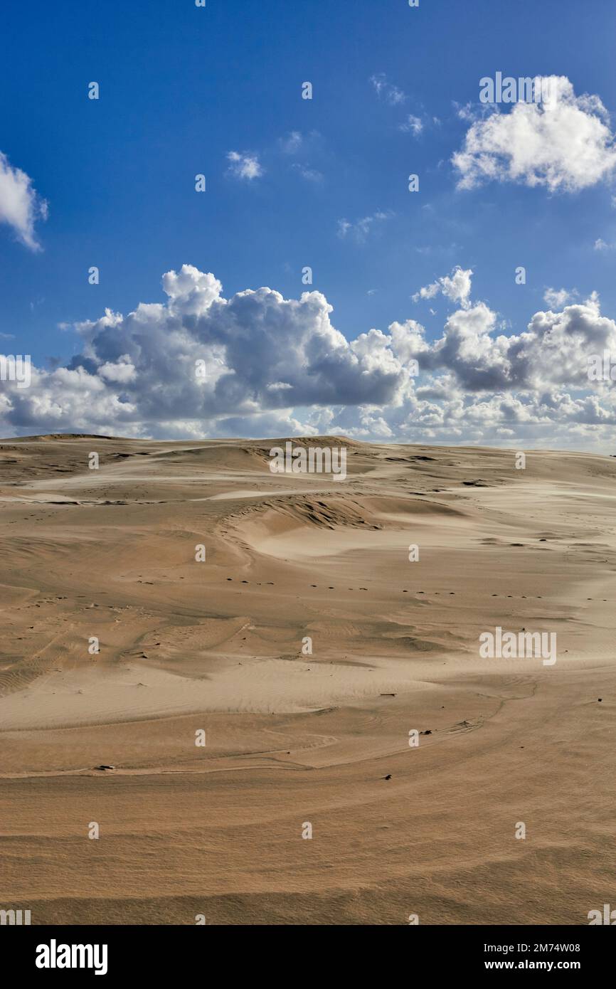 Raabjerg Mile, wandernde Küstendüne zwischen Skagen und Frederikshavn; Nordjütland, Dänemark Stockfoto