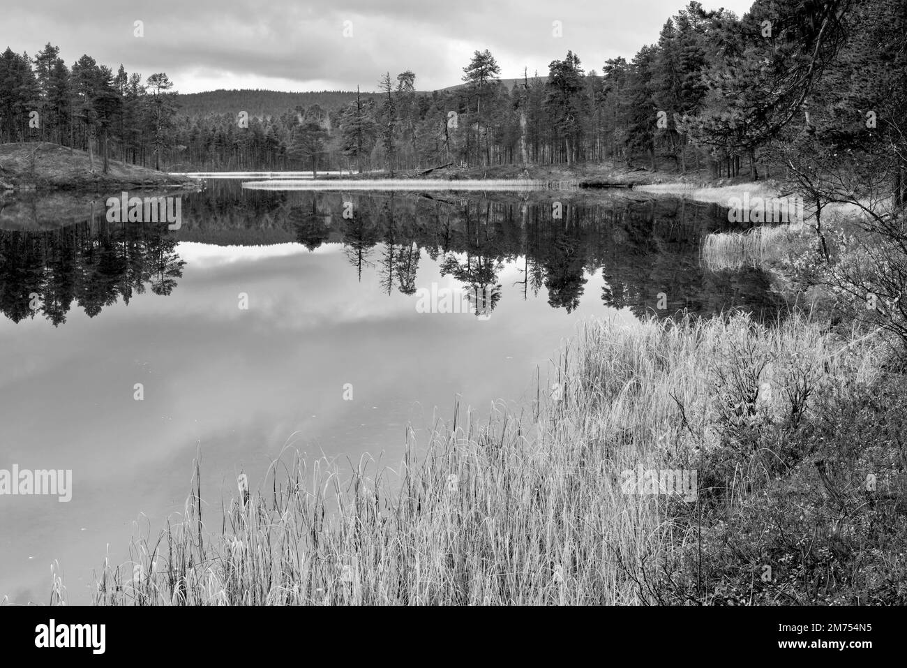 See im Lemmenjoki-Nationalpark, in der Nähe von Inari, Finnland Stockfoto