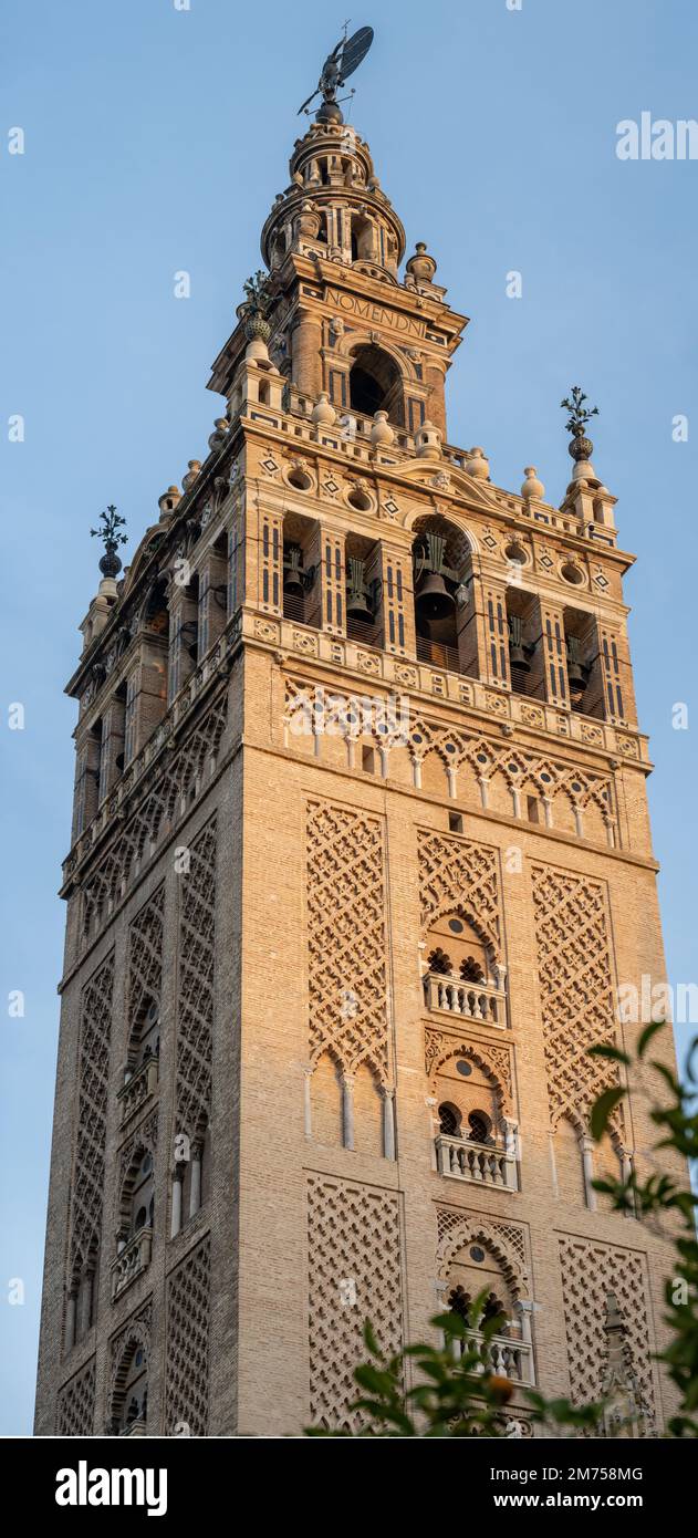 Giralda, der Glockenturm der Kathedrale von Sevilla in Sevilla, Spanien, wurde als Minarett für die große Moschee von Sevilla in al-Andalus erbaut. Stockfoto