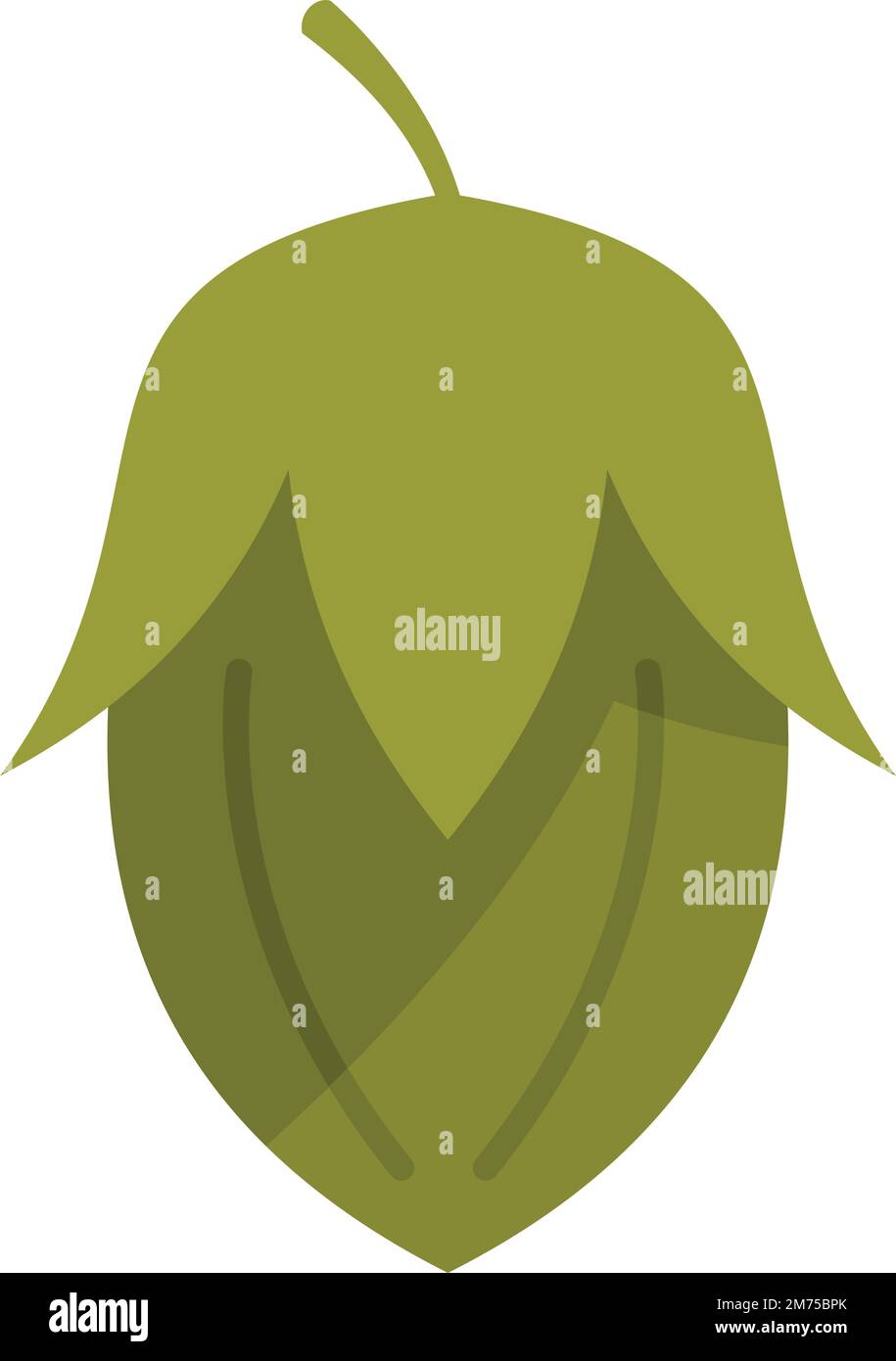Bio-Jojoba-Symbol-Flachvektor. Pflanzensamen. Ölkraut isoliert  Stock-Vektorgrafik - Alamy