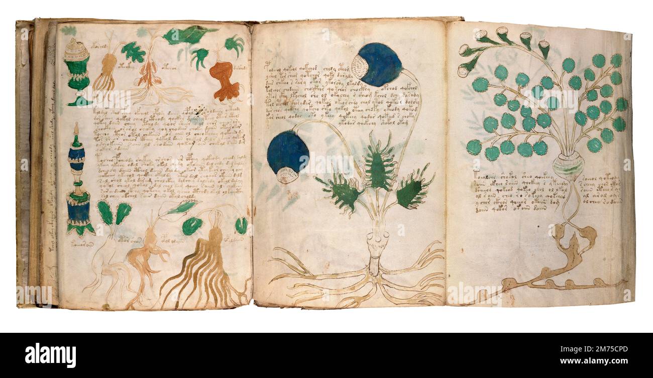 Voynich-Manuskript. Beispielseiten aus dem Voynich-Manuskript, einem illustrierten Kodex, handgeschrieben in einem ansonsten unbekannten Schreibsystem. Datiert auf das frühe 15. Jahrhundert. Stockfoto
